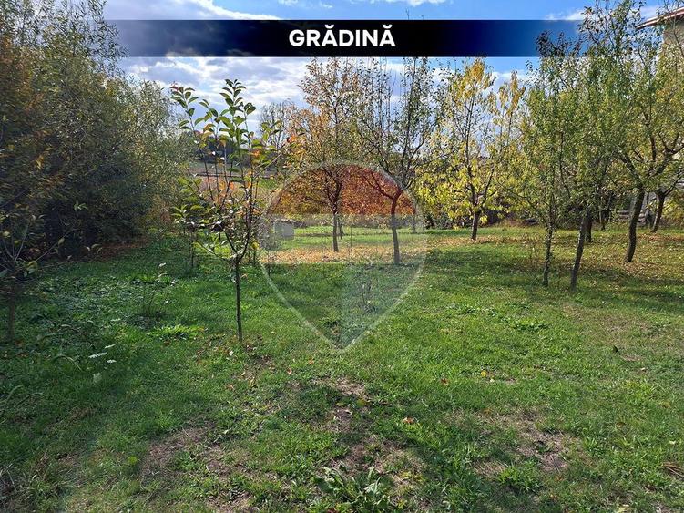 Casă individuală cu 3 camere cu Teren 2229 Mp în Finteușu Mic