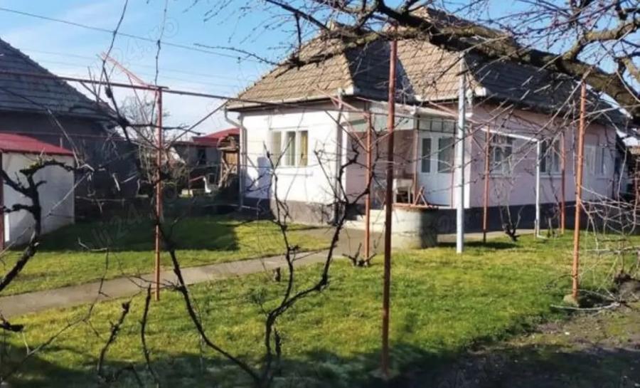 Casă cu 3 camere în Criș