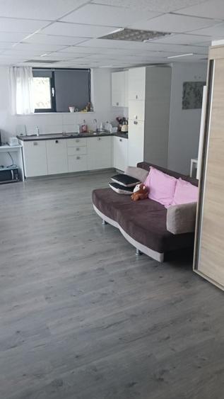 Apartament cu 2 camere semidecomandat în Dosu Bricii