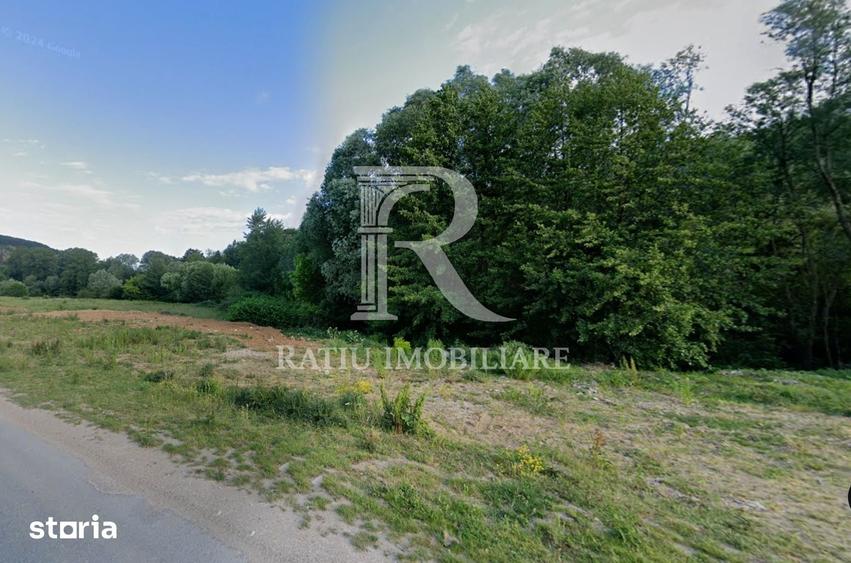 Teren Extravilan de vanzare | Proiect | ?oimi | Bihor - 3