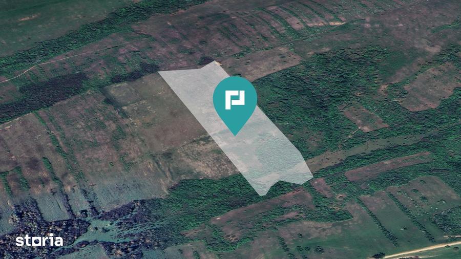Teren arabil de 11,3 hectare in Bara, Timi? - 1
