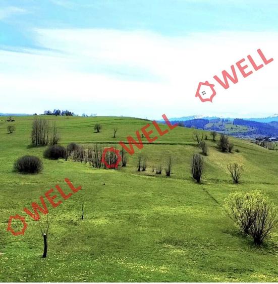 Teren agricol extravilan de 6519 mp, în Sărămaș