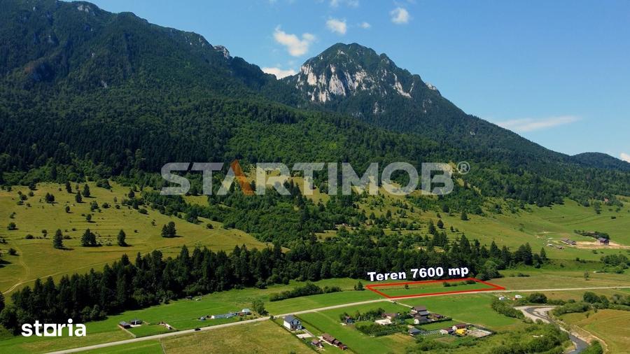 Teren de 7600 mp, în Plaiul Foii