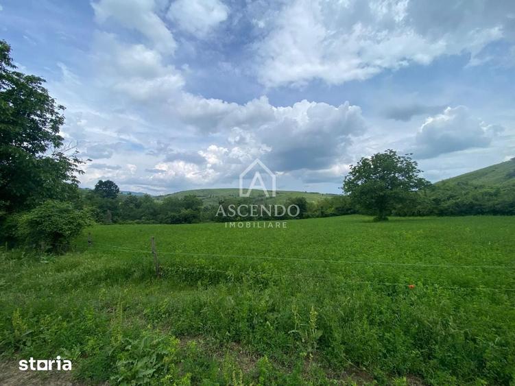 Teren de 15900 mp, în Năeni