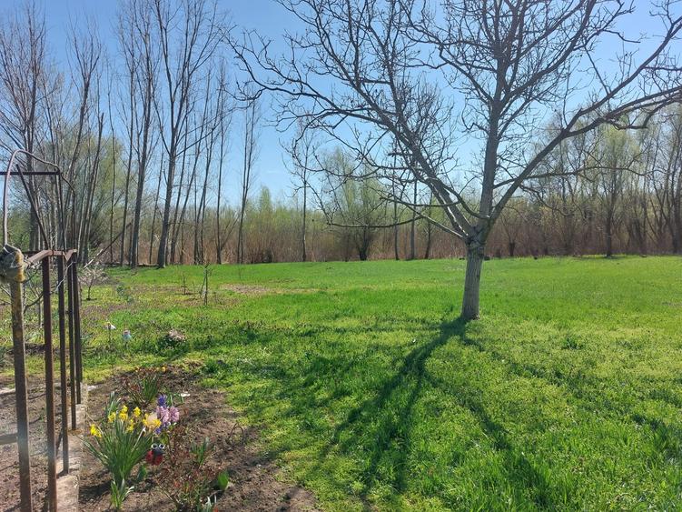 Teren Construcții intravilan de 3800 mp, în Măstăcani