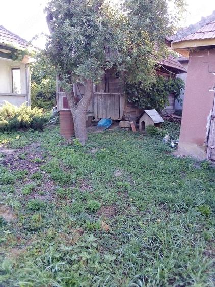Vand casa in com Bogata - 3