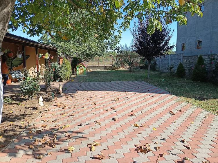 Casă cu 5 camere cu Teren 1530 Mp în Orțișoara