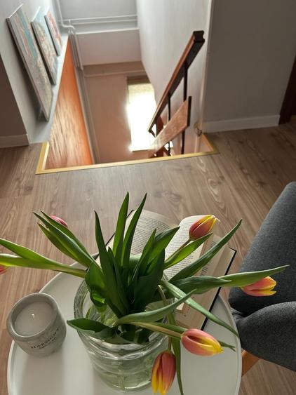 Apartament cu 2 camere decomandat în Lidia