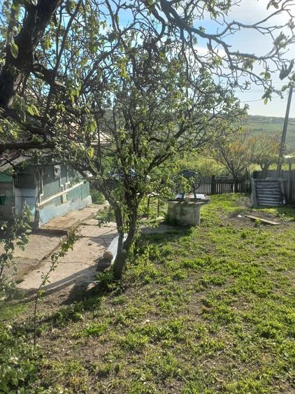 Casă cu 3 camere în Rusca