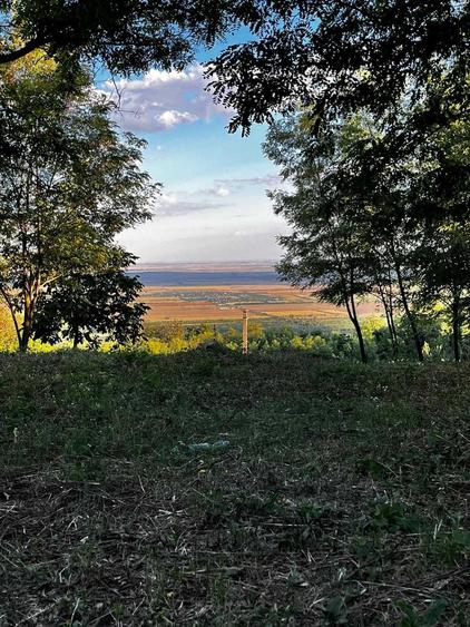 Teren de 7593 mp, în Pietroasele