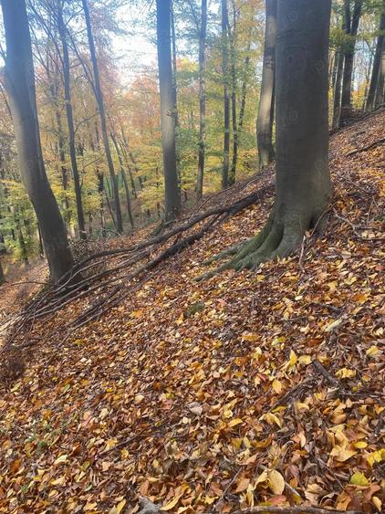 Teren de 20000 mp, în Gheorghe Doja