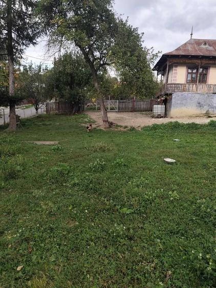 Casă cu 3 camere în Provița de Jos