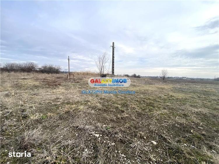 Teren de 46500 mp, în Ariceștii Rahtivani