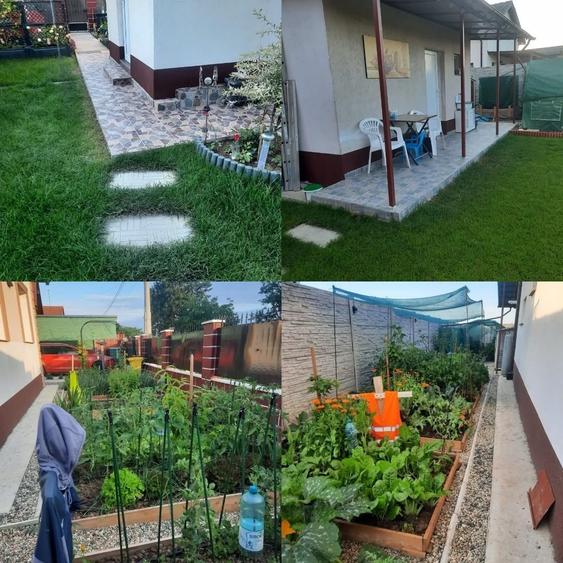 Casă cu 3 camere în Dragșina