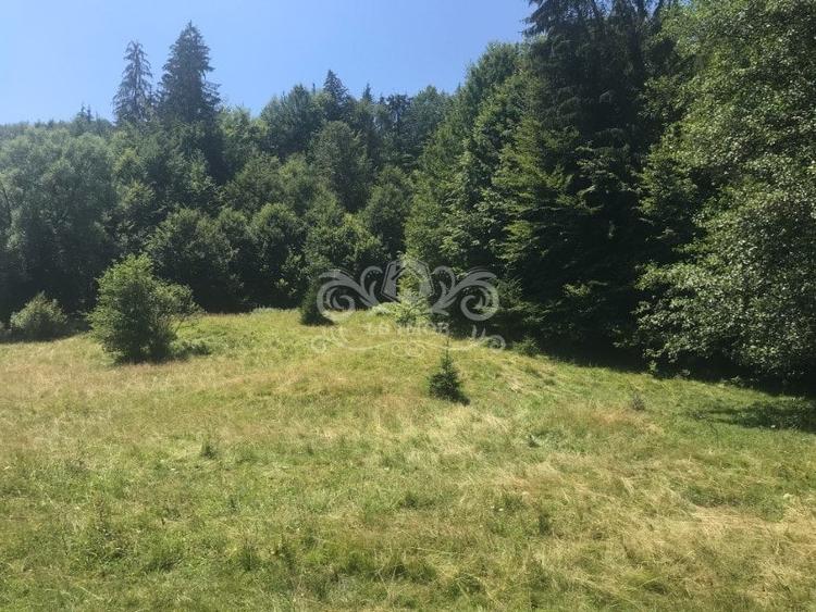Teren Construcții extravilan de 6500 mp, în Albeștii de Muscel