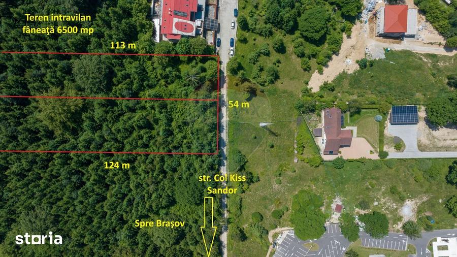 Teren intravilan, 3000 mp, Dambu Morii - 7