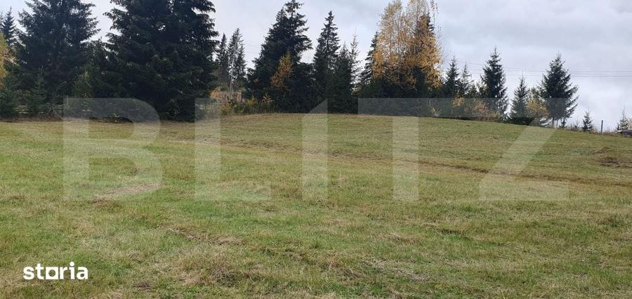 Teren de 4000 mp, în Șaru Dornei
