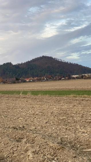 Teren Construcții intravilan de 7768 mp, în Zărnești