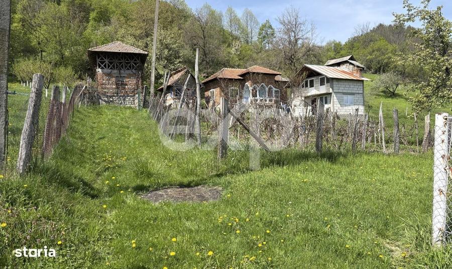 Spațiu comercial, în Bârseștii de Sus