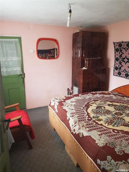 Casa cu iaz jud Teleorman - 4