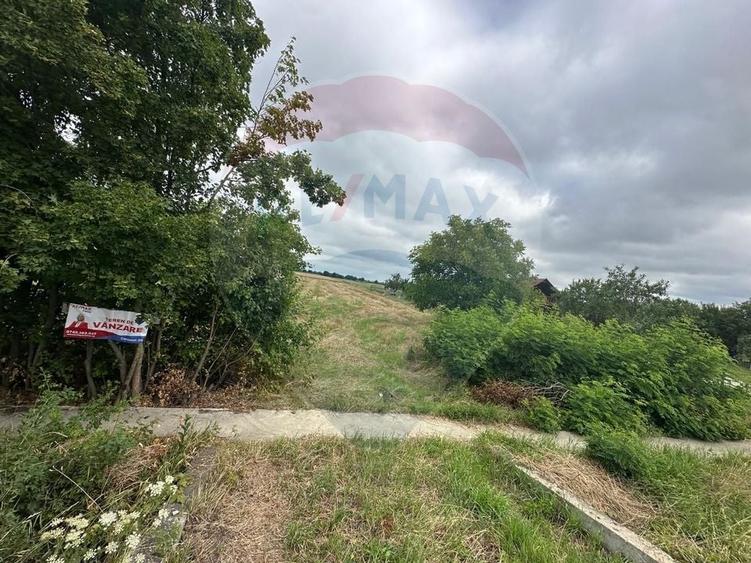 Teren Construcții intravilan de 5800 mp, în Agriș