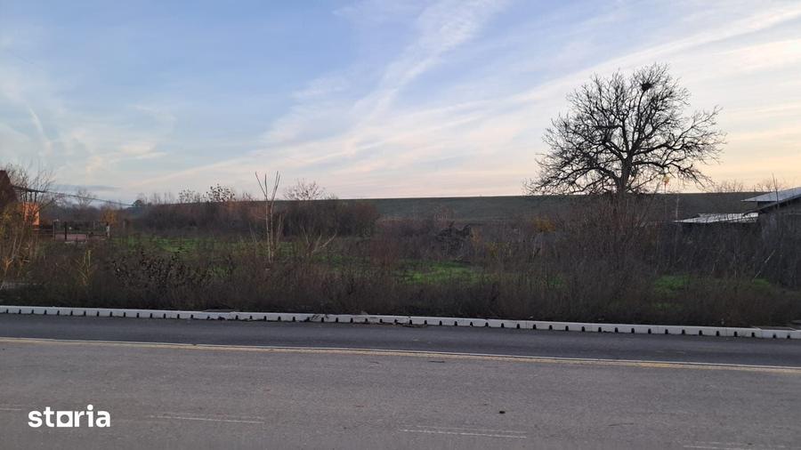 Teren de 2250 mp, în Cornetu