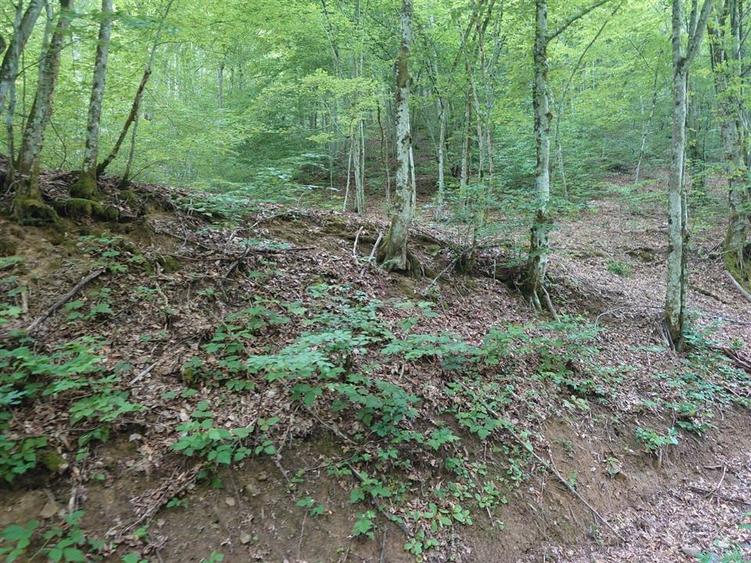 Teren extravilan de 1632 mp, în Bulzeștii de Sus