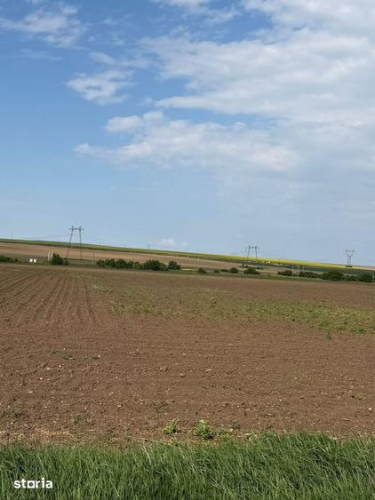 Teren de 27000 mp, în Săucești