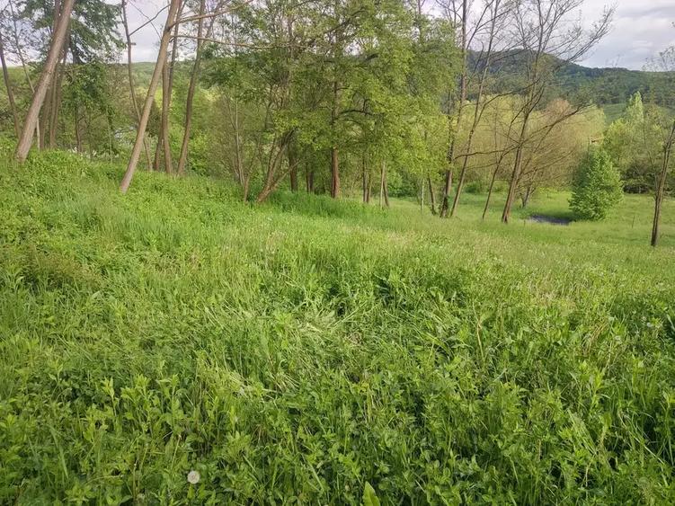Teren intravilan de 1400 mp, în Sultanu