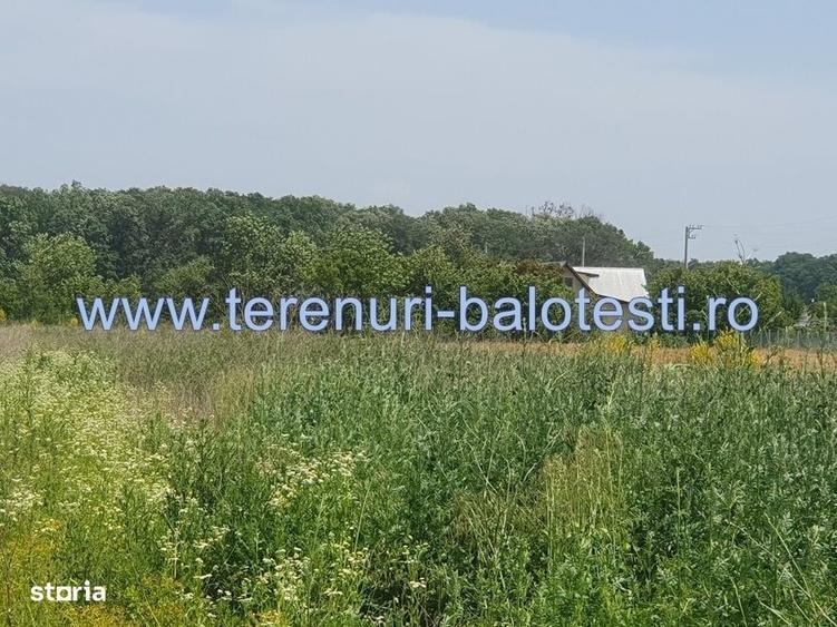 Spațiu comercial, în Balotești