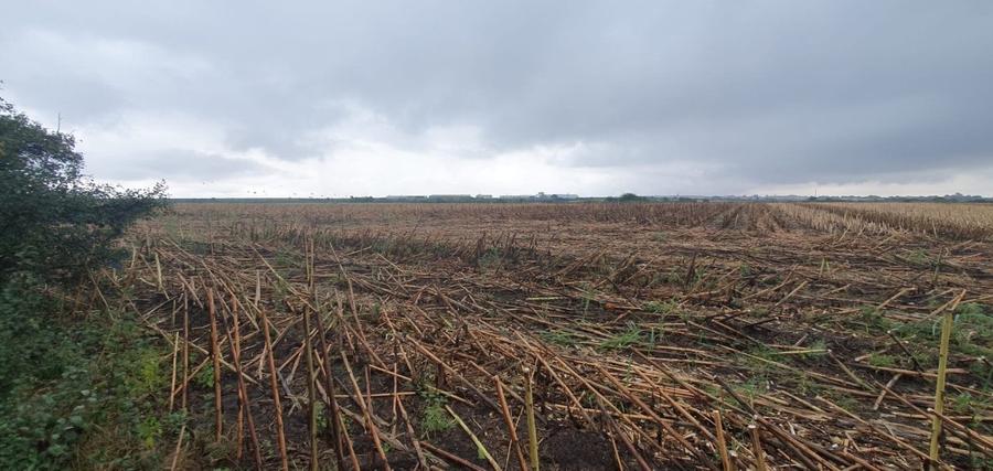 Teren agricol extravilan de 101790 mp, în Dudeștii Noi