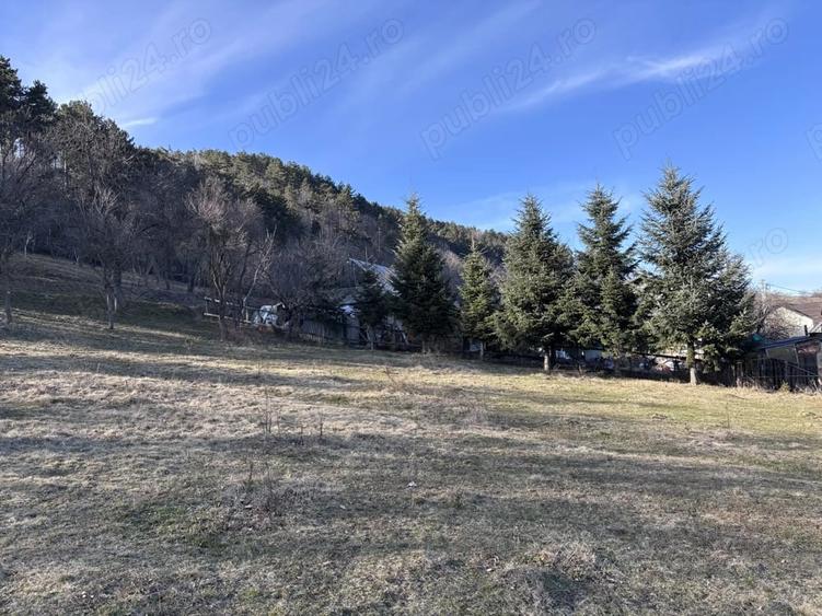 Teren de 5000 mp, în Gârcina