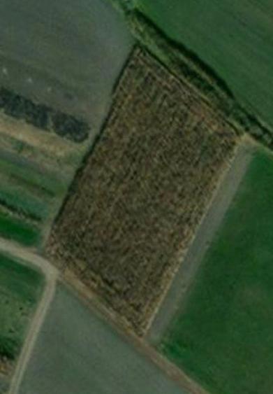 Teren Construcții intravilan de 4000 mp, în Chichiș