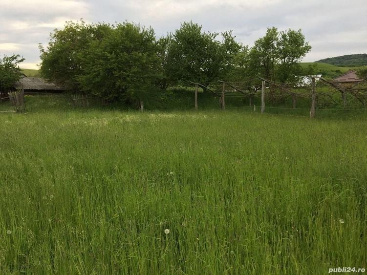 Teren de 30000 mp, în Crăcăoani