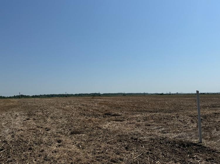 Teren agricol extravilan de 30000 mp, în Uliești