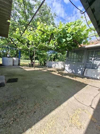 Casă cu Teren 2600 Mp în Movila Miresii