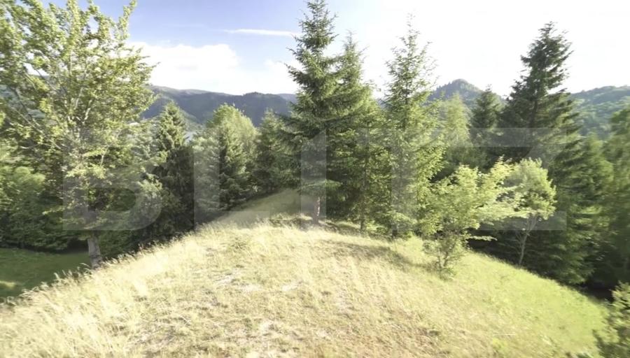 Teren Construcții intravilan de 16945 mp, în Exterior Nord