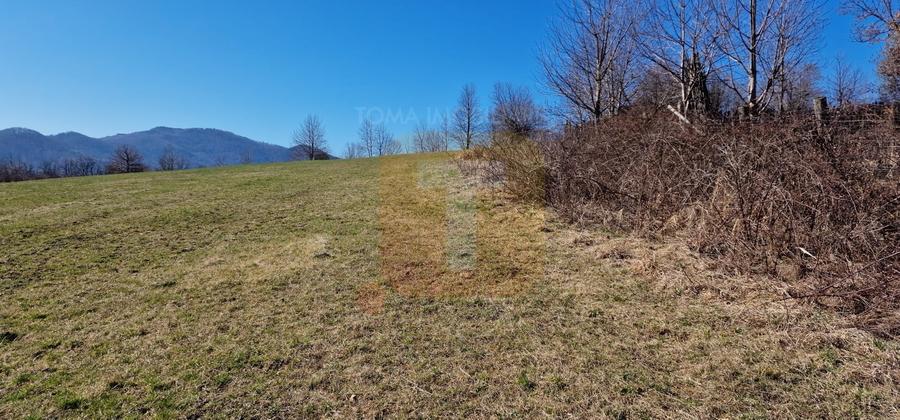 Teren Construcții intravilan de 4000 mp, în Alexandru cel Bun