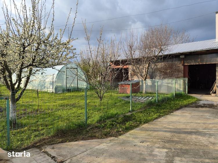 Casă cu 5 camere cu Teren 4000 Mp în Florești