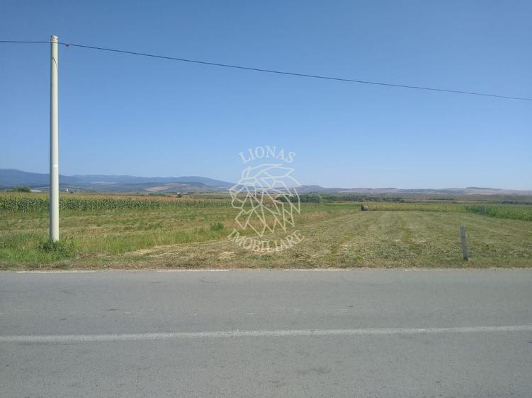 Teren agricol extravilan de 2000 mp, în Jelna