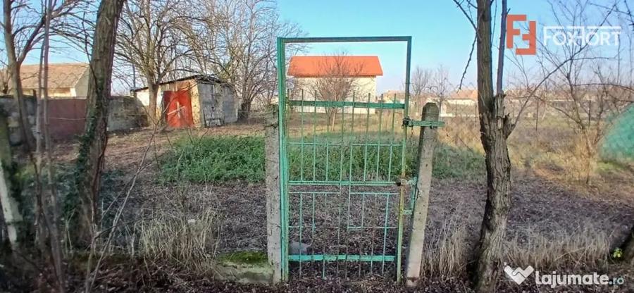 Casă cu 3 camere cu Teren 1500 Mp în Satchinez