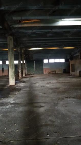 Spațiu comercial, de 6,800 mp, în Lipova