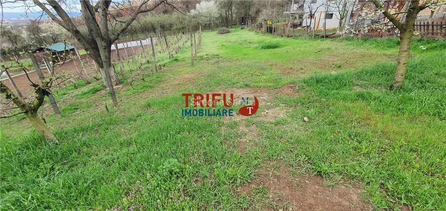 Teren de vanzare zona Micesti 1436mp