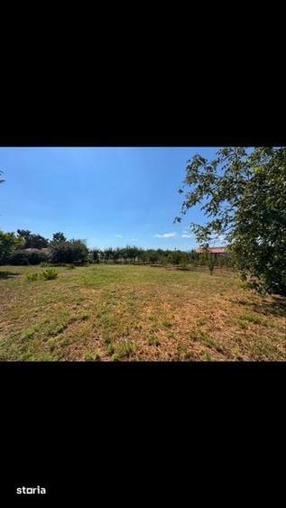 Teren de 1400 mp, în Central