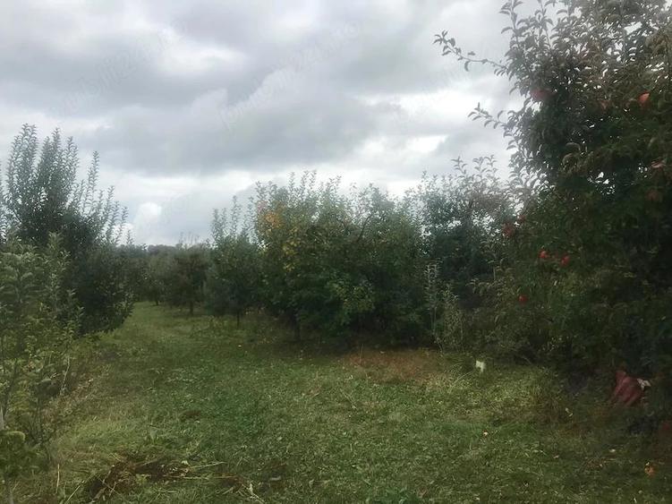 Teren de 1200 mp, în Central