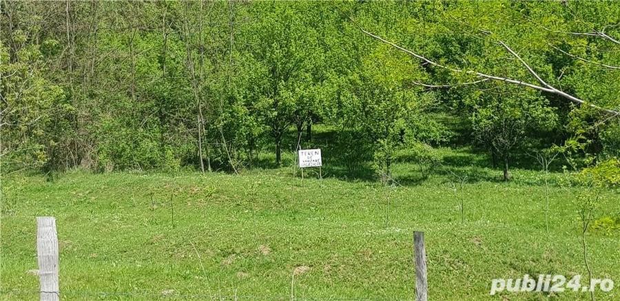 Teren de 2070 mp, în Vârfuri