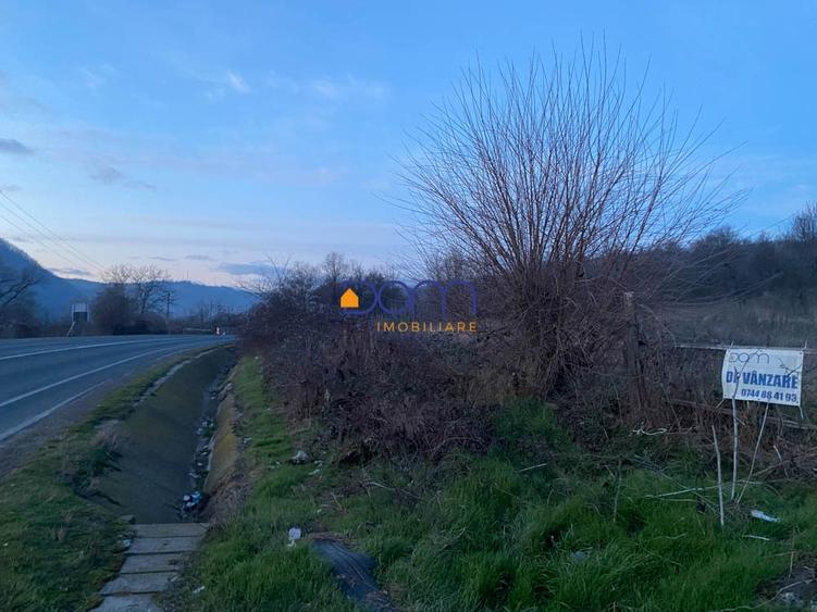 Teren Construcții intravilan de 4836 mp, în Mehadia