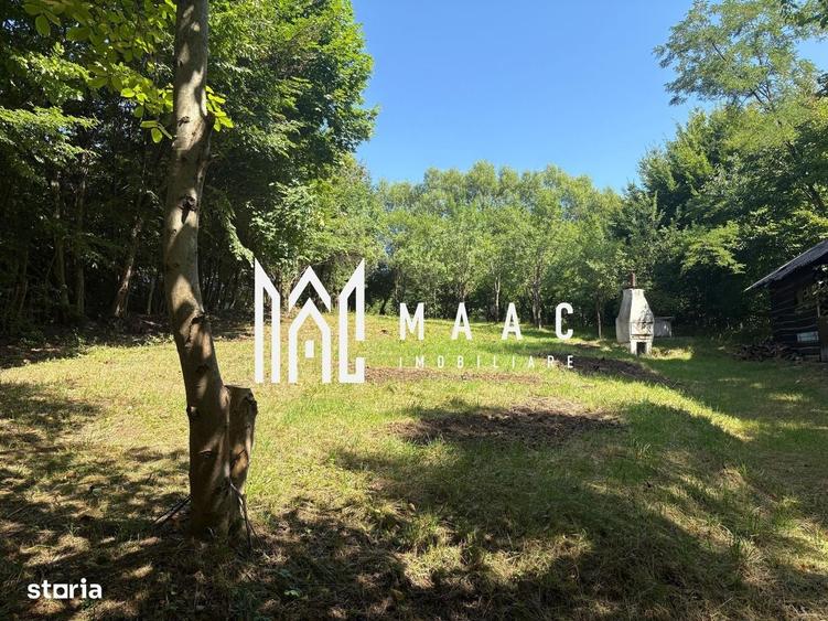 Spațiu comercial, în Cisnădioara