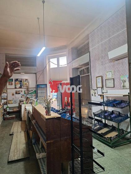 Spațiu comercial, de 110 mp, în Elisabetin