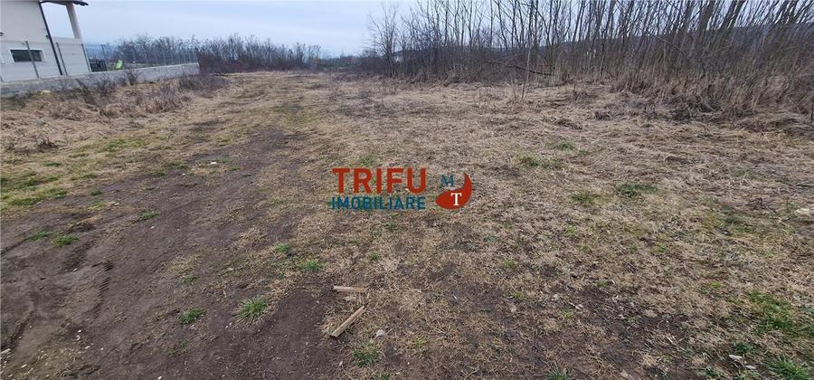 Teren Construcții intravilan de 1091 mp, în Cetate